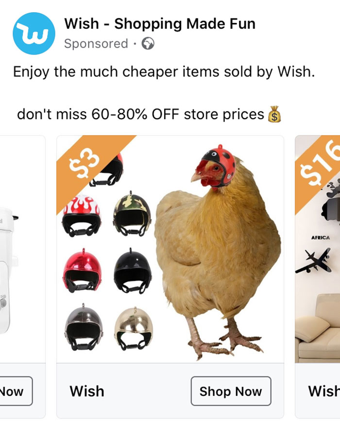 Things broke people always have money for: Chicken helmets